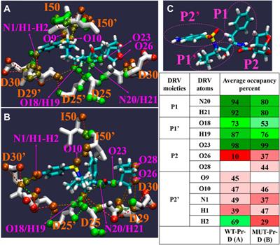 The structural, dynamic, and thermodynamic basis of darunavir resistance of a heavily mutated HIV-1 protease using molecular dynamics simulation